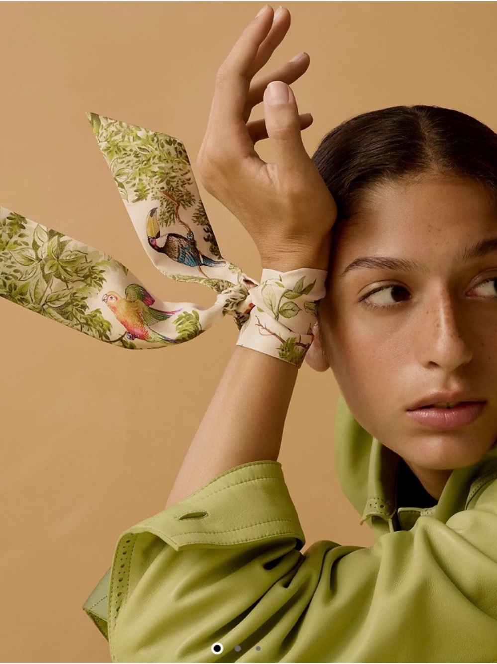 Hermès Purple Green Yellow Printed Silk Twilly with Butterfly Motif - Picture 16 of 16